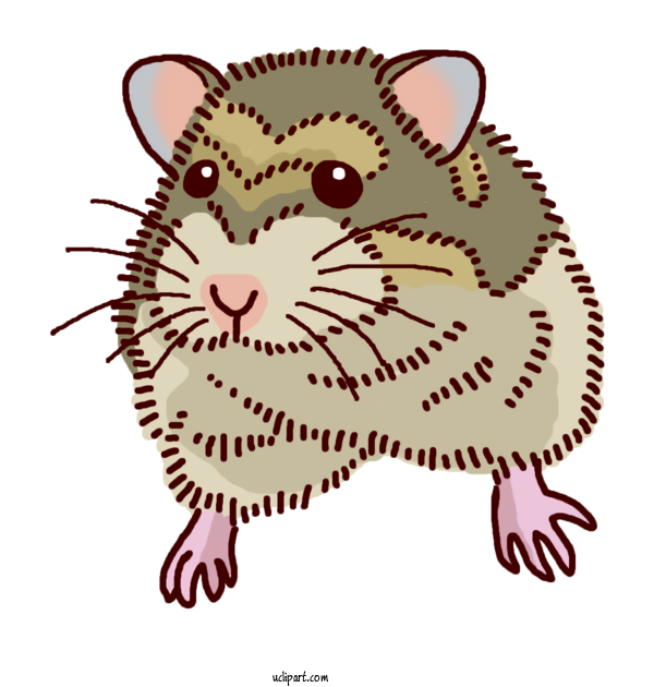 Free Animals Whiskers Hamster Winter White Dwarf Hamster For Mice Clipart Transparent Background