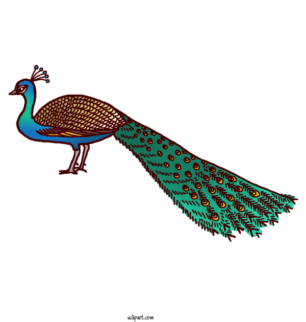 Free Animals Beak Birds Peafowl For Bird Clipart Transparent Background