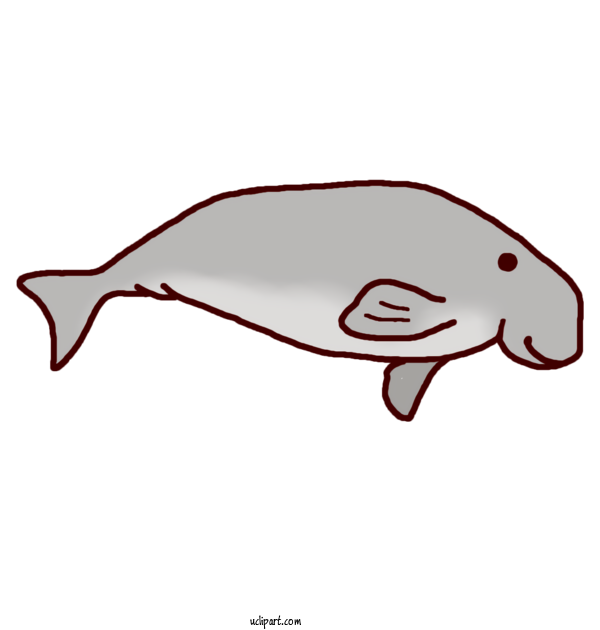 Free Animals Walrus Dugong Earless Seals For Dolphin Clipart Transparent Background