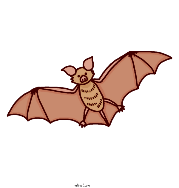 Free Animals Bats Dog For Bat Clipart Transparent Background