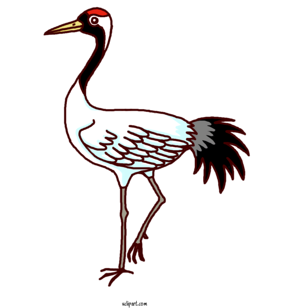 Free Animals Crane Birds Cygnini For Bird Clipart Transparent Background