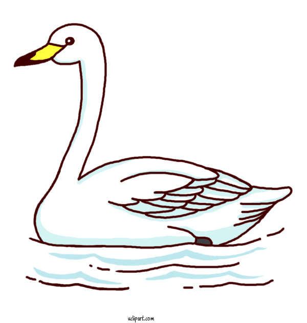 Free Animals Duck 排雪 Aomori For Bird Clipart Transparent Background