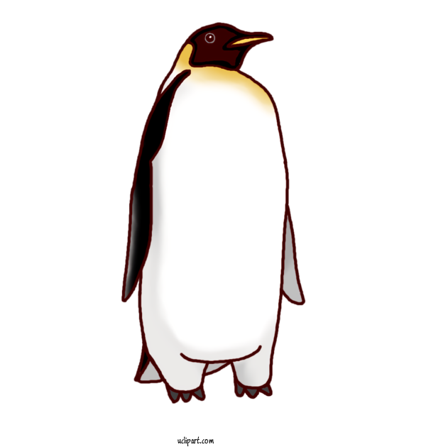 Free Animals King Penguin Penguins For Bird Clipart Transparent Background