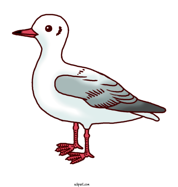 Free Animals Duck Line Art Design For Bird Clipart Transparent Background