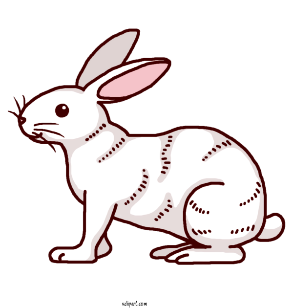 Free Animals Hare Easter Bunny Whiskers For Rabbit Clipart Transparent Background