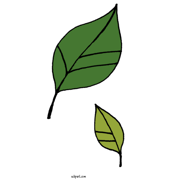 Free Nature Leaf Copyright Notice Plant Stem For Plant Clipart Transparent Background