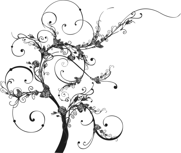 Free Plant Line Art Black And White Branch Clipart Clipart Transparent Background