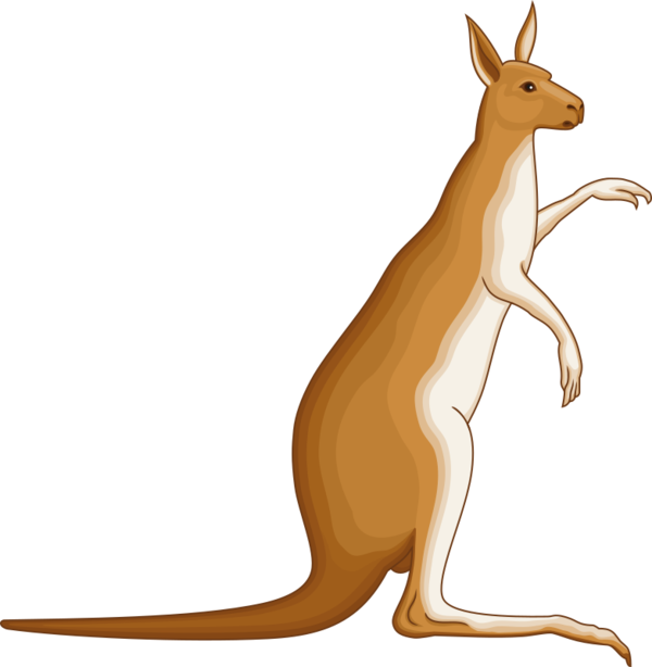 Free Animal Kangaroo Macropodidae Tail Clipart Clipart Transparent Background