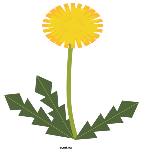 Free Nature Dandelion Leaf Plant Stem For Plant Clipart Transparent Background