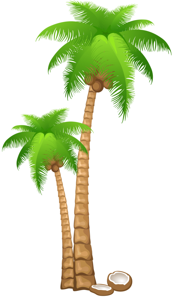 Free Plant Tree Palm Tree Plant Clipart Clipart Transparent Background