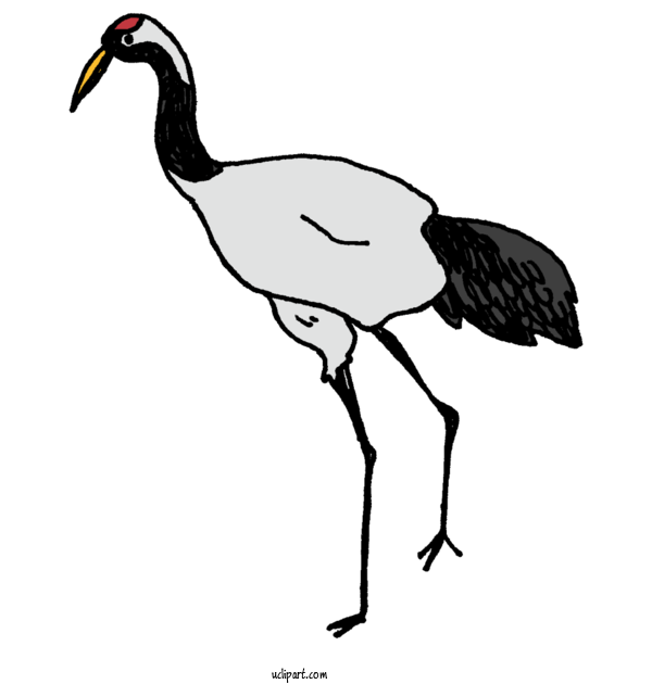 Free Animals Ducks Stork Water Bird For Animal Clipart Transparent Background