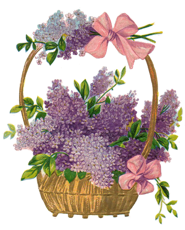 Free Plant Flower Lilac Flower Arranging Clipart Clipart Transparent Background