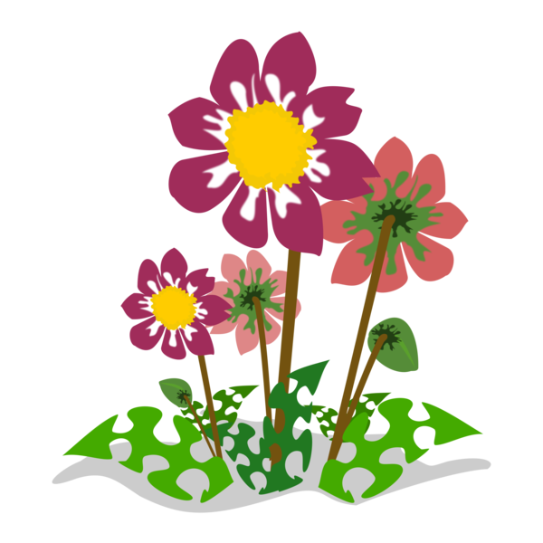 Free Plant Flower Flora Daisy Clipart Clipart Transparent Background