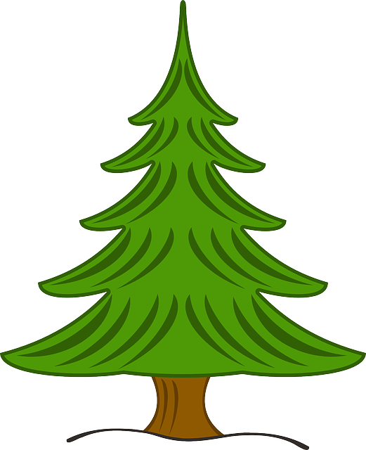 Free Plant Christmas Tree Tree Christmas Decoration Clipart Clipart Transparent Background