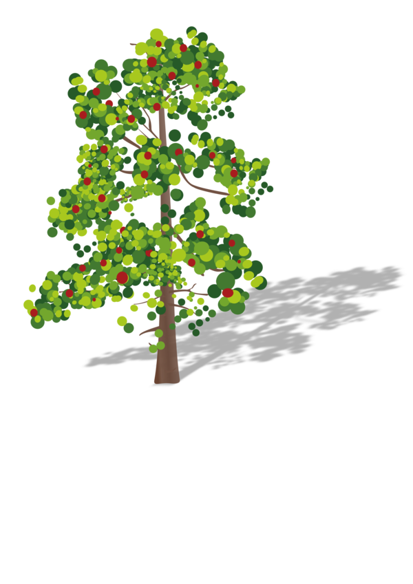 Free Plant Tree Woody Plant Plant Clipart Clipart Transparent Background