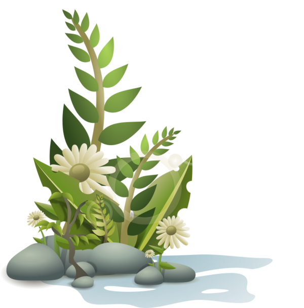 Free Plant Plant Leaf Flowerpot Clipart Clipart Transparent Background
