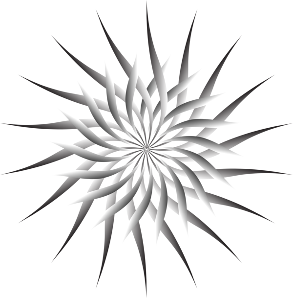 Free Plant Black And White Line Symmetry Clipart Clipart Transparent Background