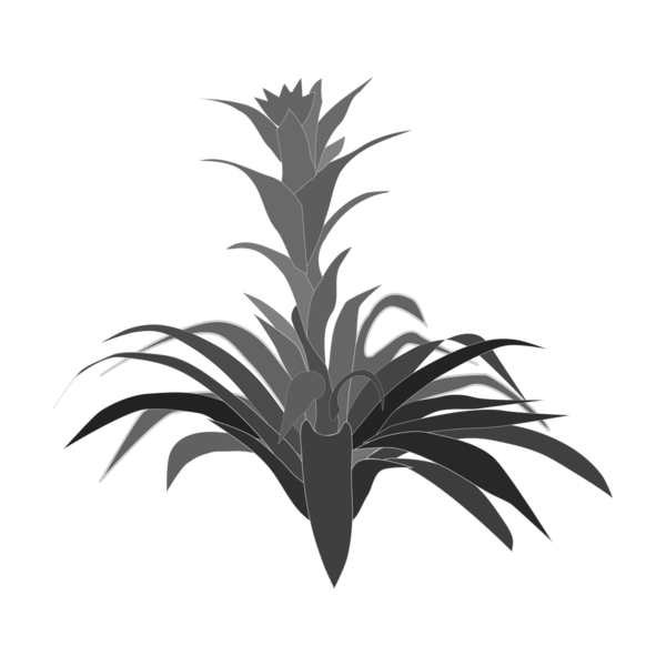 Free Plant Plant Black And White Leaf Clipart Clipart Transparent Background