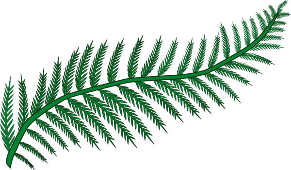 Free Plant Plant Leaf Fern Clipart Clipart Transparent Background