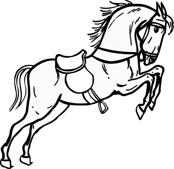 Free Animal Horse Line Art Bridle Clipart Clipart Transparent Background