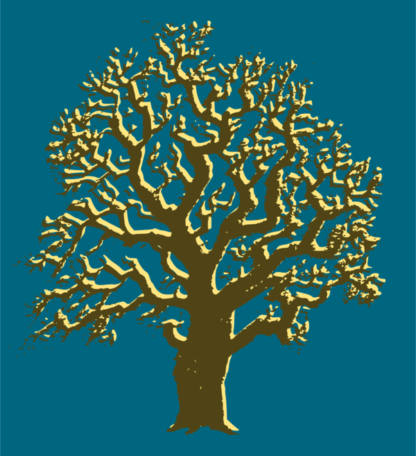Free Plant Tree Woody Plant Branch Clipart Clipart Transparent Background