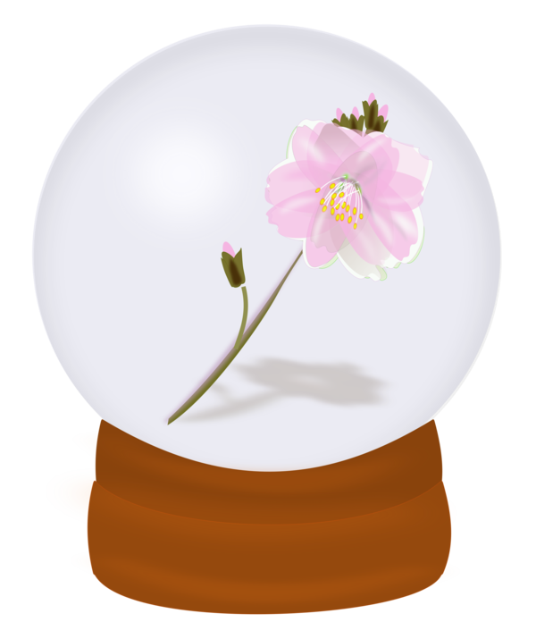 Free Plant Flower Flowerpot Vase Clipart Clipart Transparent Background