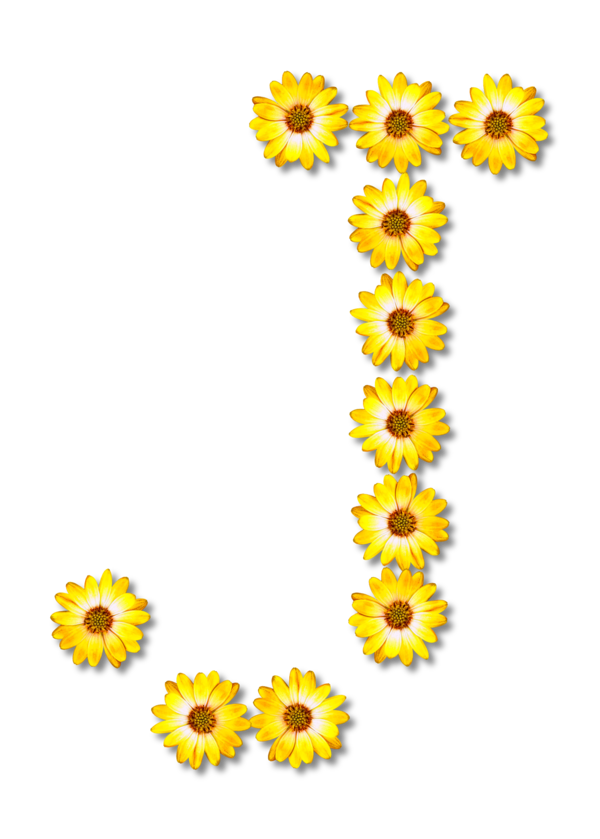 Free Plant Flower Sunflower Flora Clipart Clipart Transparent Background