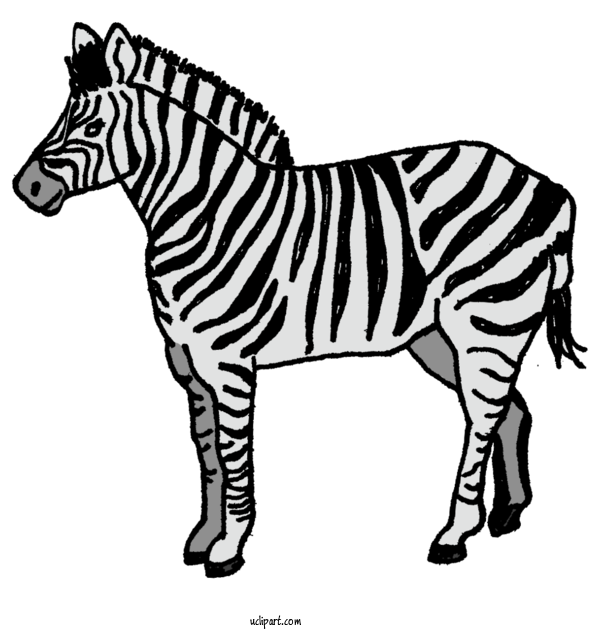 Free Animals Quagga Zebra Royalty Free For Animal Clipart Transparent Background