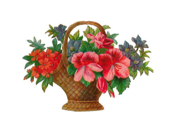 Free Plant Flower Flowerpot Cut Flowers Clipart Clipart Transparent Background