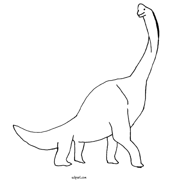 Free Animals Brachiosaurus Whiskers Dinosaur For Animal Clipart Transparent Background