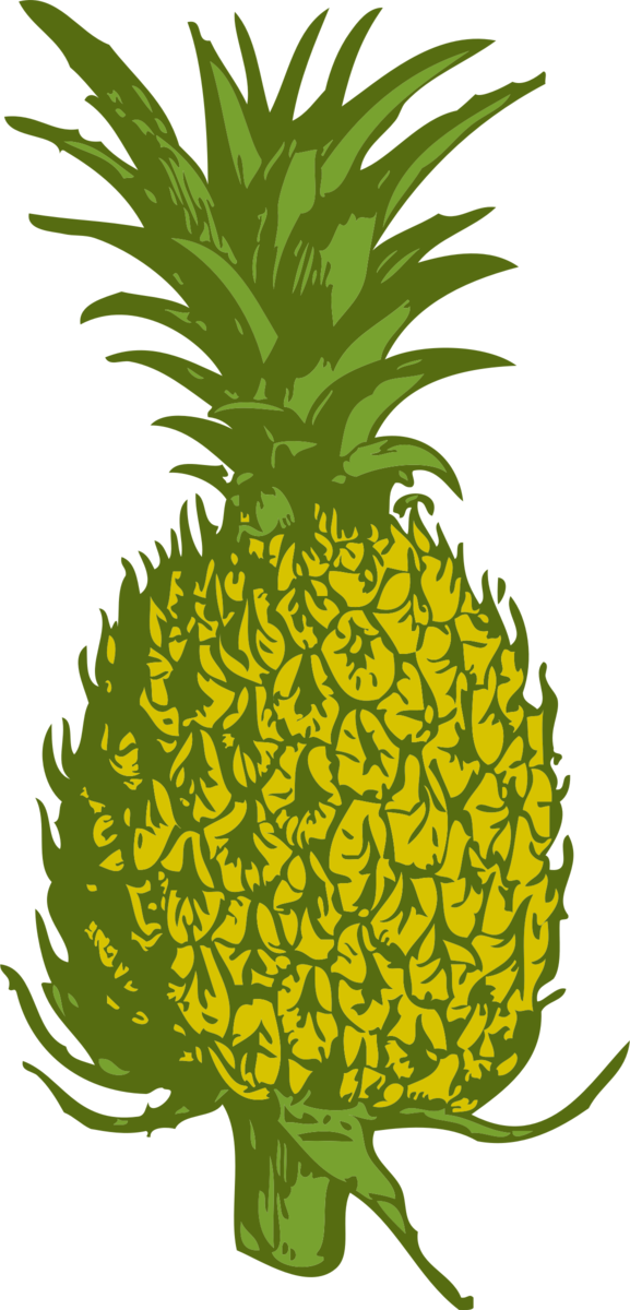 Free Plant Ananas Pineapple Plant Clipart Clipart Transparent Background