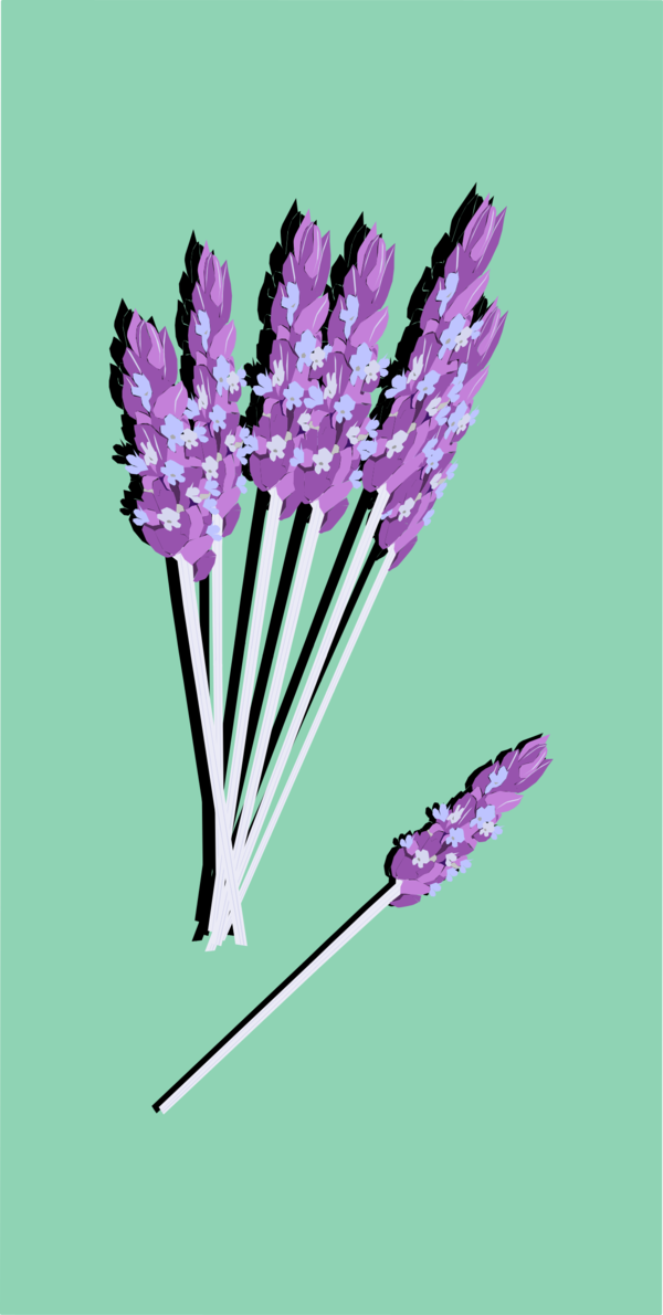 Free Plant Flower Violet Lavender Clipart Clipart Transparent Background