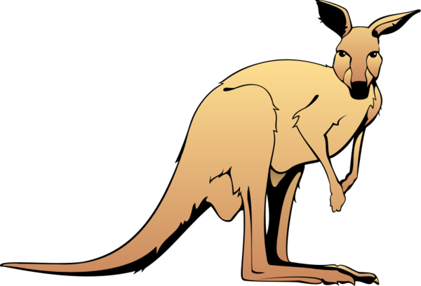 Free Animal Kangaroo Macropodidae Wildlife Clipart Clipart Transparent Background