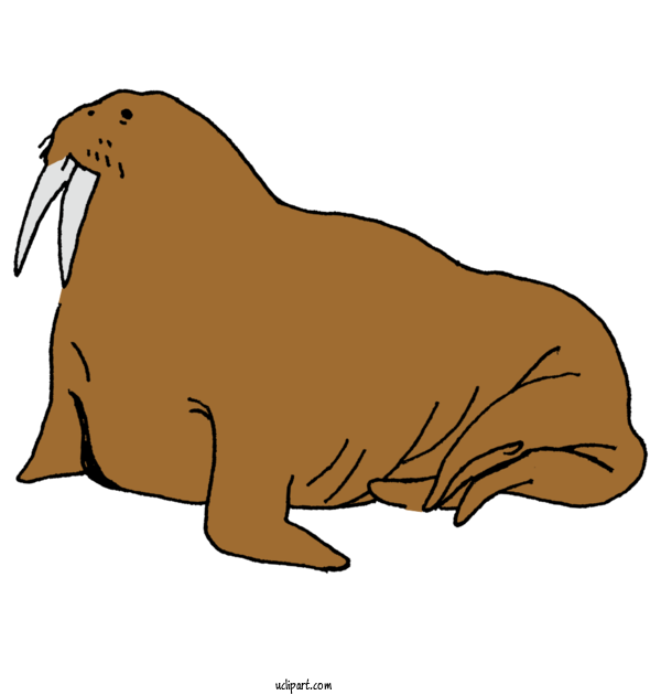 Free Animals Walrus Sea Lions Bears For Animal Clipart Transparent Background
