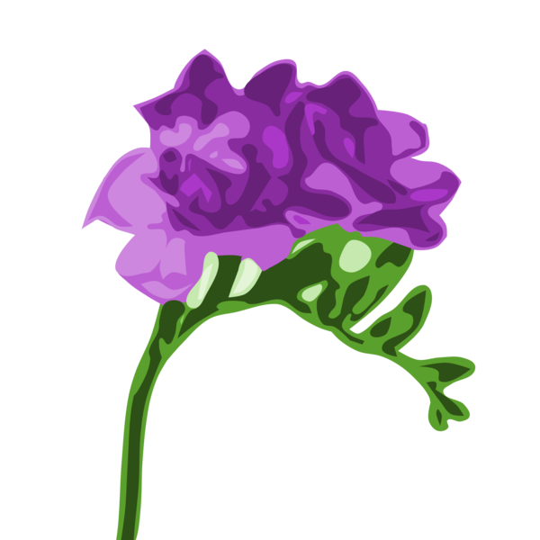 Free Plant Flower Violet Flora Clipart Clipart Transparent Background