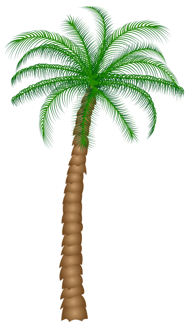 Free Plant Tree Plant Palm Tree Clipart Clipart Transparent Background