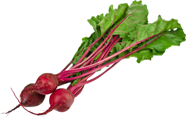 Free Plant Vegetable Food Beet Clipart Clipart Transparent Background