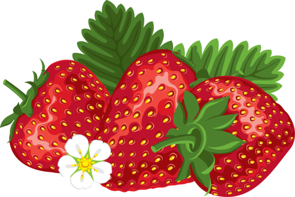 Free Plant Strawberry Strawberries Natural Foods Clipart Clipart Transparent Background