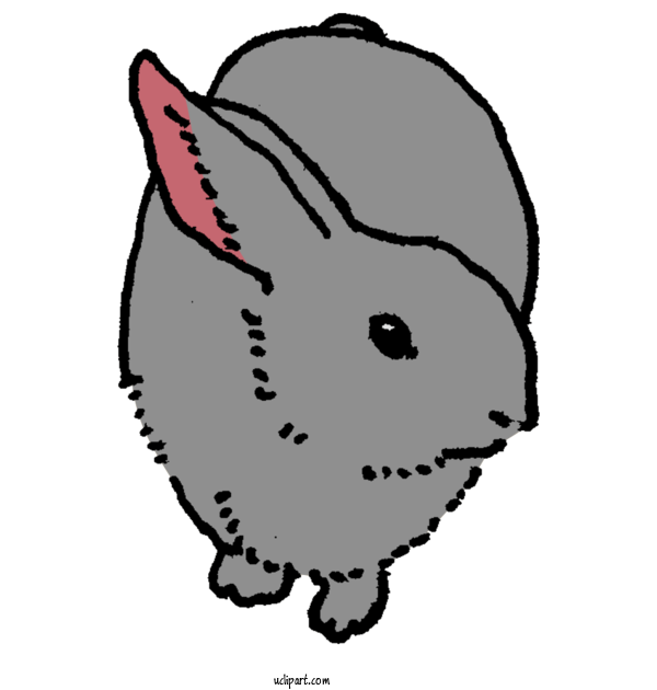 Free Animals Hare Rabbit Drawing For Animal Clipart Transparent Background
