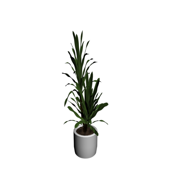 Free Plant Plant Flowerpot Flower Clipart Clipart Transparent Background