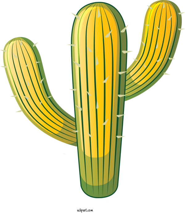 Free Holidays Plant Stem Flower Yellow For Cinco De Mayo Clipart Transparent Background