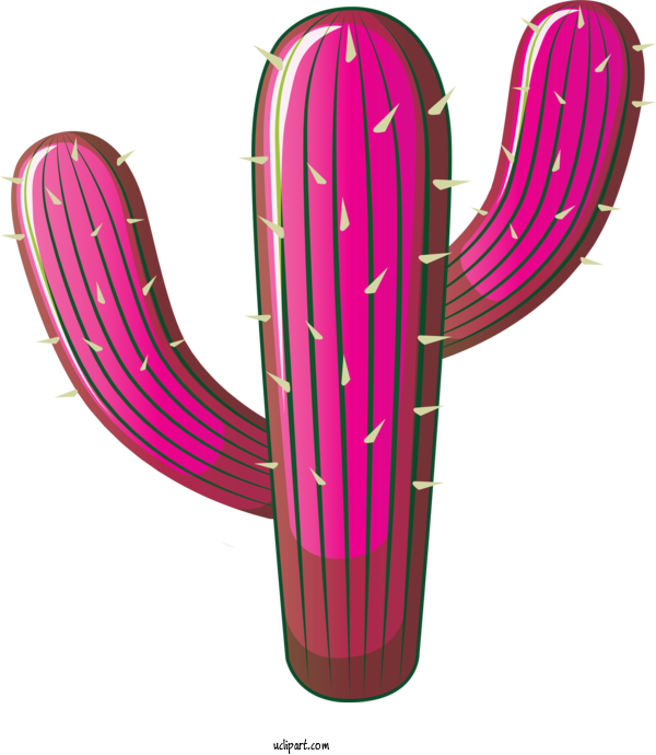 Free Holidays Design Cactus Pink M For Cinco De Mayo Clipart Transparent Background
