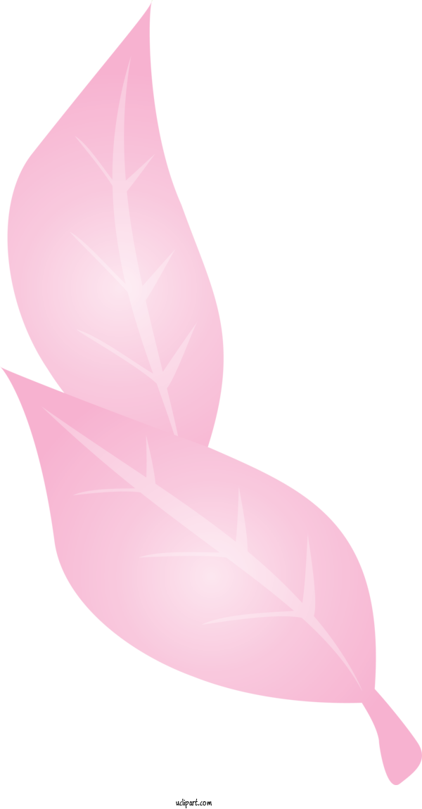 Free Nature Leaf Pink M Close Up For Plant Clipart Transparent Background