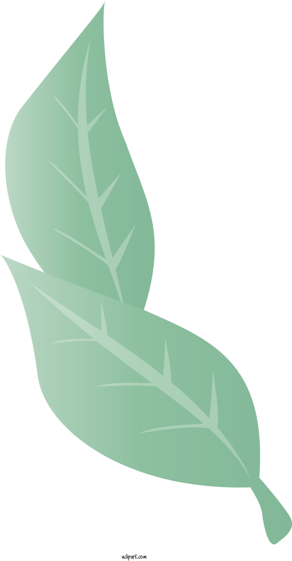 Free Nature Leaf Green Angle For Plant Clipart Transparent Background
