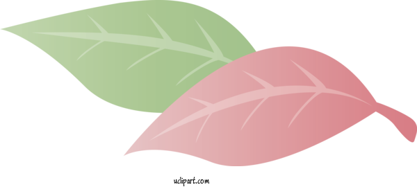 Free Nature Leaf Pink M Produce For Plant Clipart Transparent Background