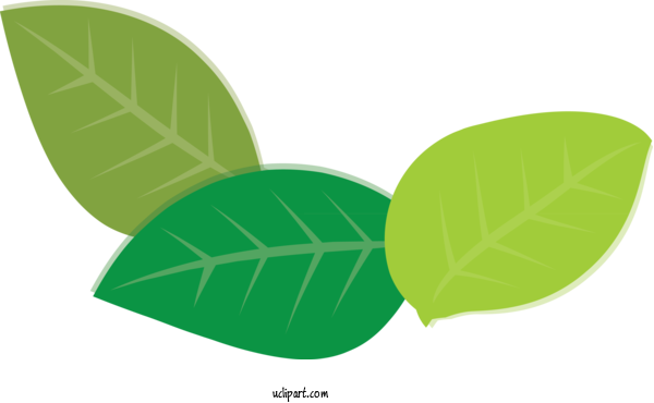 Free Nature Leaf Plant Stem Green For Plant Clipart Transparent Background
