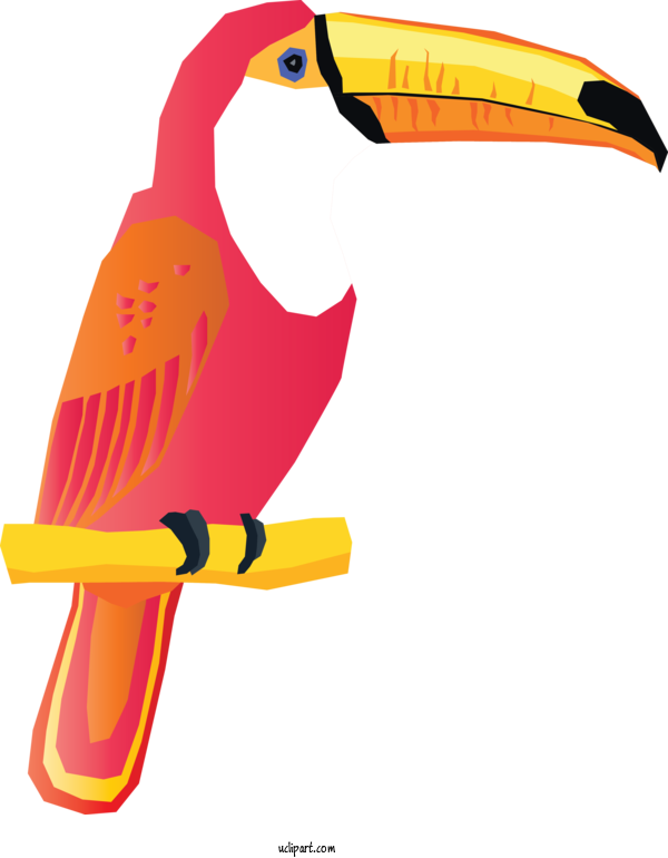 Free Holidays Toucans Beak Yellow For Brazilian Carnival Clipart Transparent Background