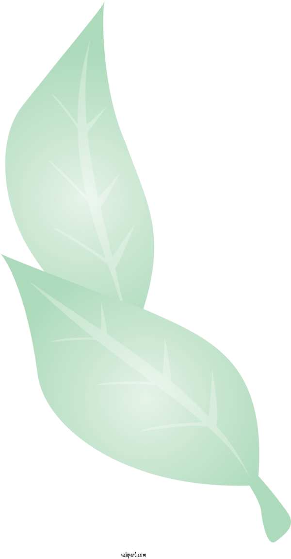Free Nature Leaf Green Design For Plant Clipart Transparent Background