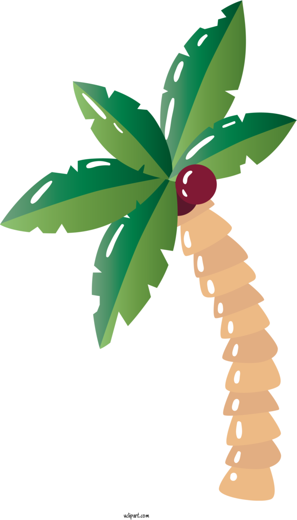 Free Holidays Plant Stem Leaf Branch For Brazilian Carnival Clipart Transparent Background