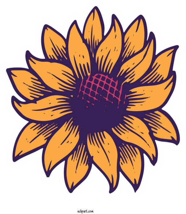 Free Holidays Chrysanthemum Cut Flowers Floral Design For Brazilian Festa Junina Clipart Transparent Background